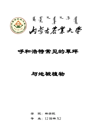 呼市地区常见的草坪地被植物