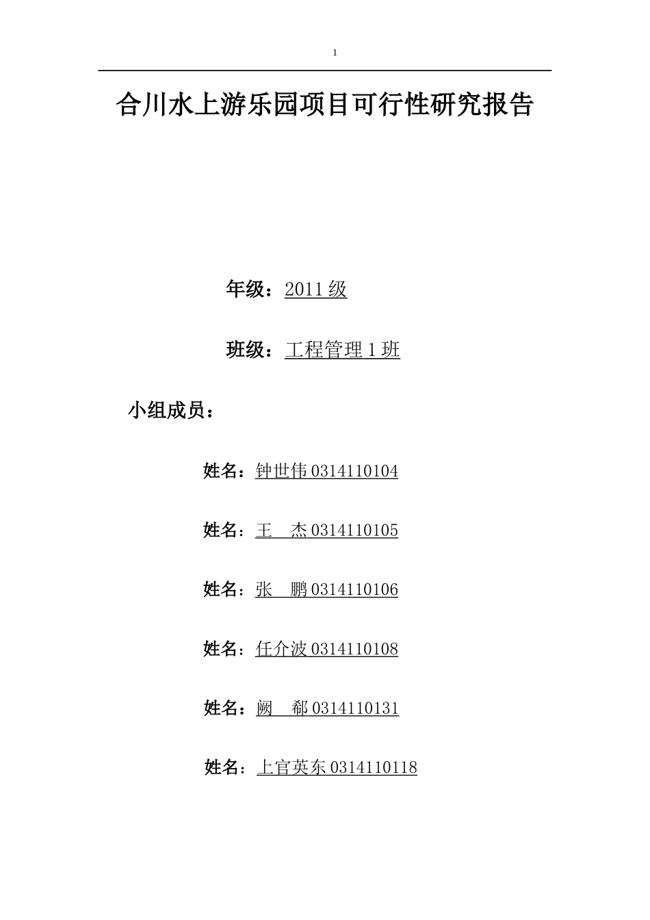 合川水上游乐设施项目的可行性报告_第1页