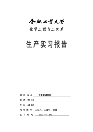 合肥工业大学化工实习d