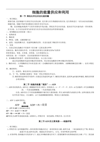 呼吸作用和光合作用知识点及经典习题