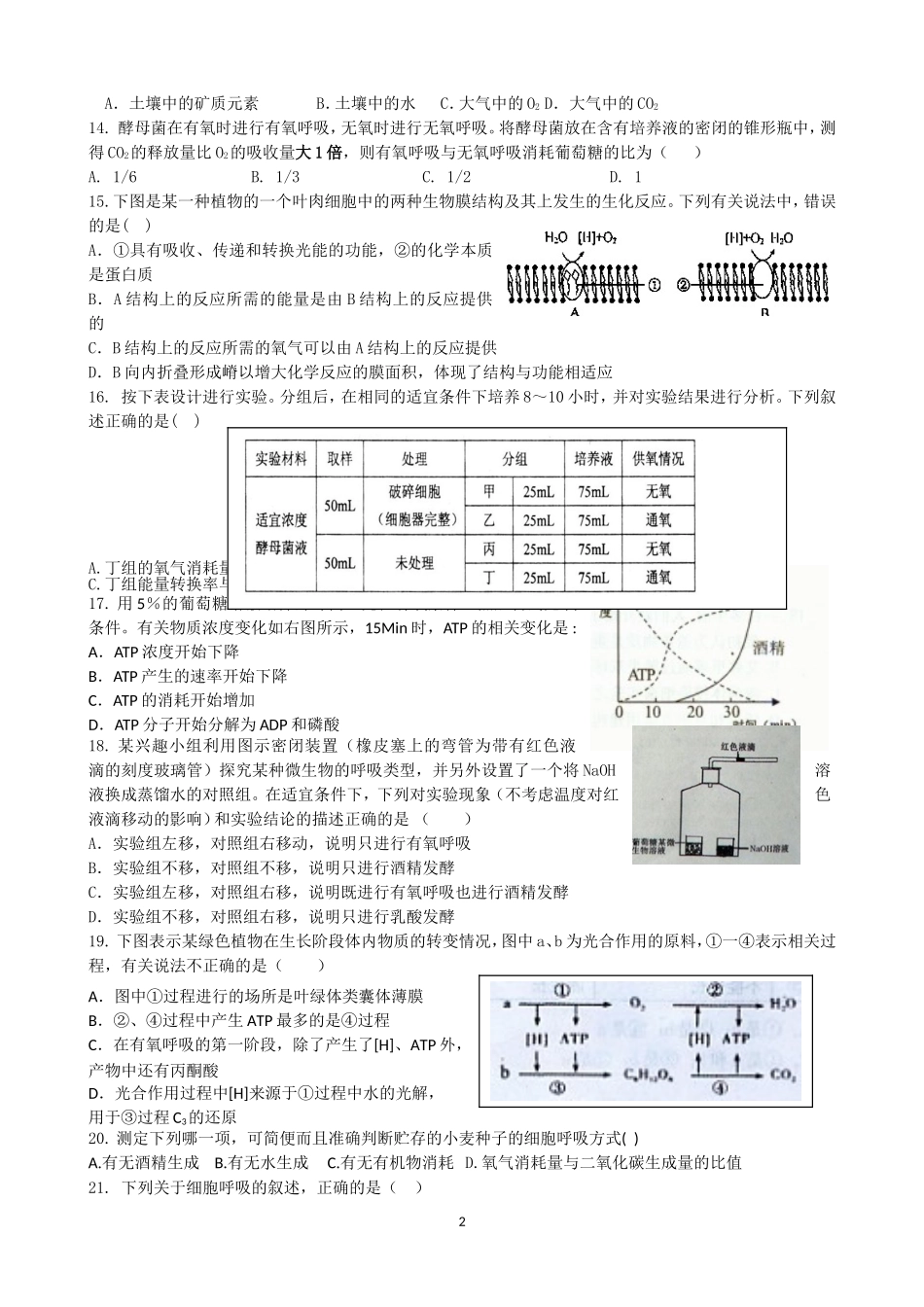 呼吸作用与光合作用专项练习及答案_第2页