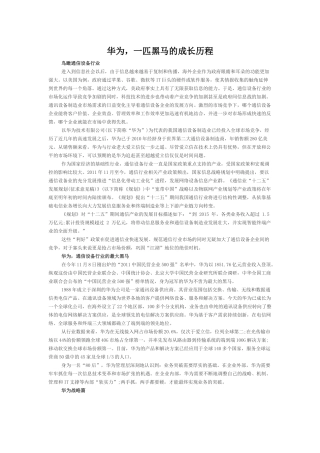 华为历史发展和企业运行机制分析---华为-一匹黑马的成长历程