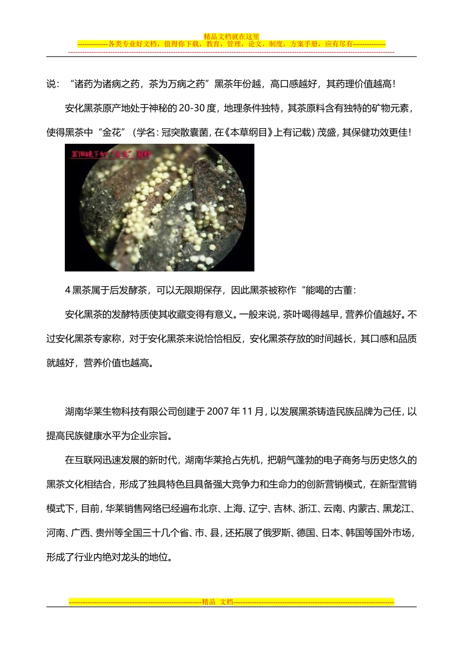 华莱黑茶创新营销模式奖金制度_第2页