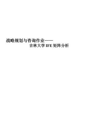 吉林大学IFE矩阵