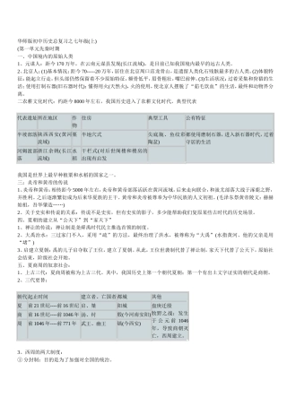 华师版初中历史总复习