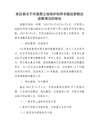 某区委关于市委黑土地保护利用专题巡察整改进展情况的报告