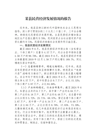 某县民营经济发展情况的报告