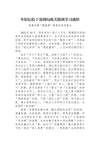 年轻纪检干部到局机关跟班学习感悟