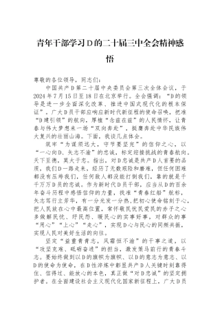 青年干部学习党的二十届三中全会精神感悟