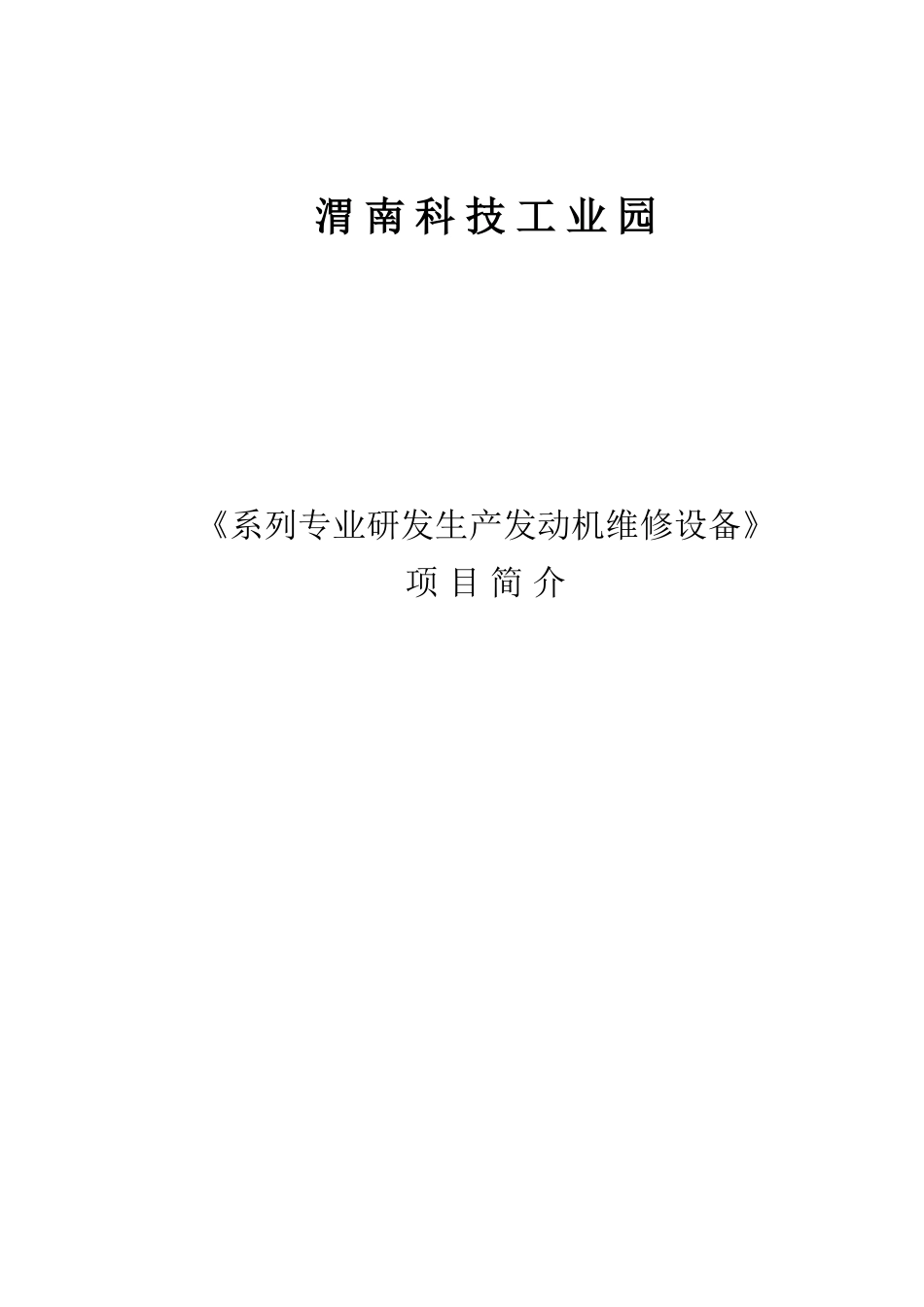 可行性报告(很好的范本)_第1页