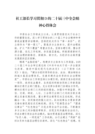 社工部长学习贯彻党的二十届三中全会精神心得体会