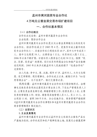 可研项目报告