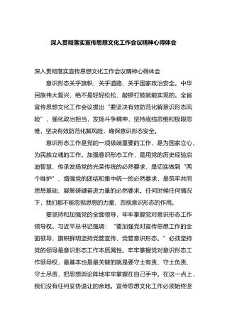 深入贯彻落实宣传思想文化工作会议精神心得体会