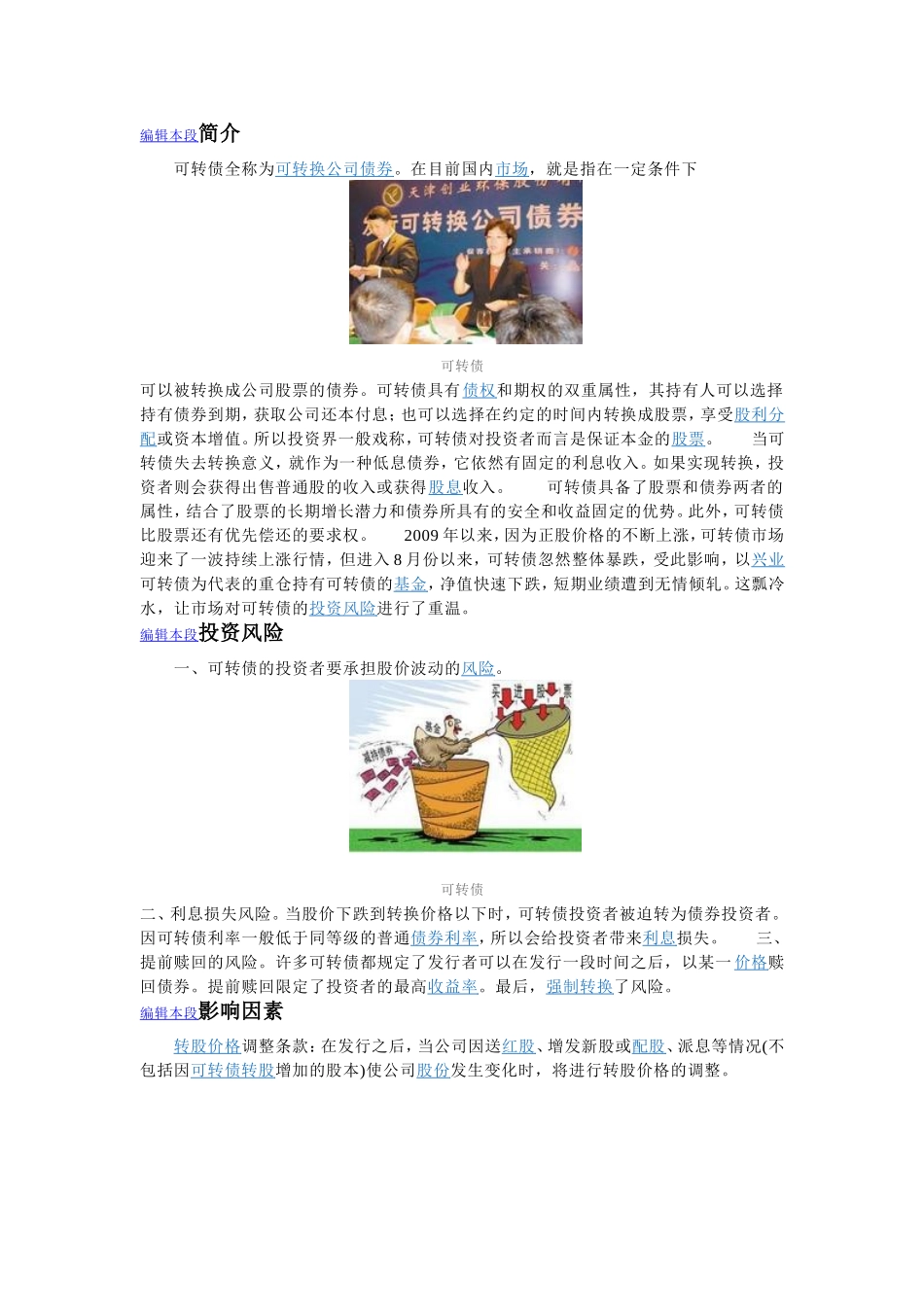 可转换公司债券_第2页