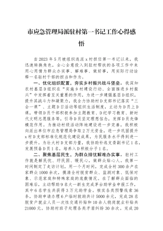 市应急管理局派驻村第一书记工作心得感悟