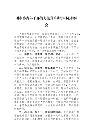 团市委青年干部能力提升培训学习心得体会