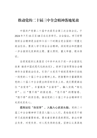 推动党的二十届三中全会精神落地见效