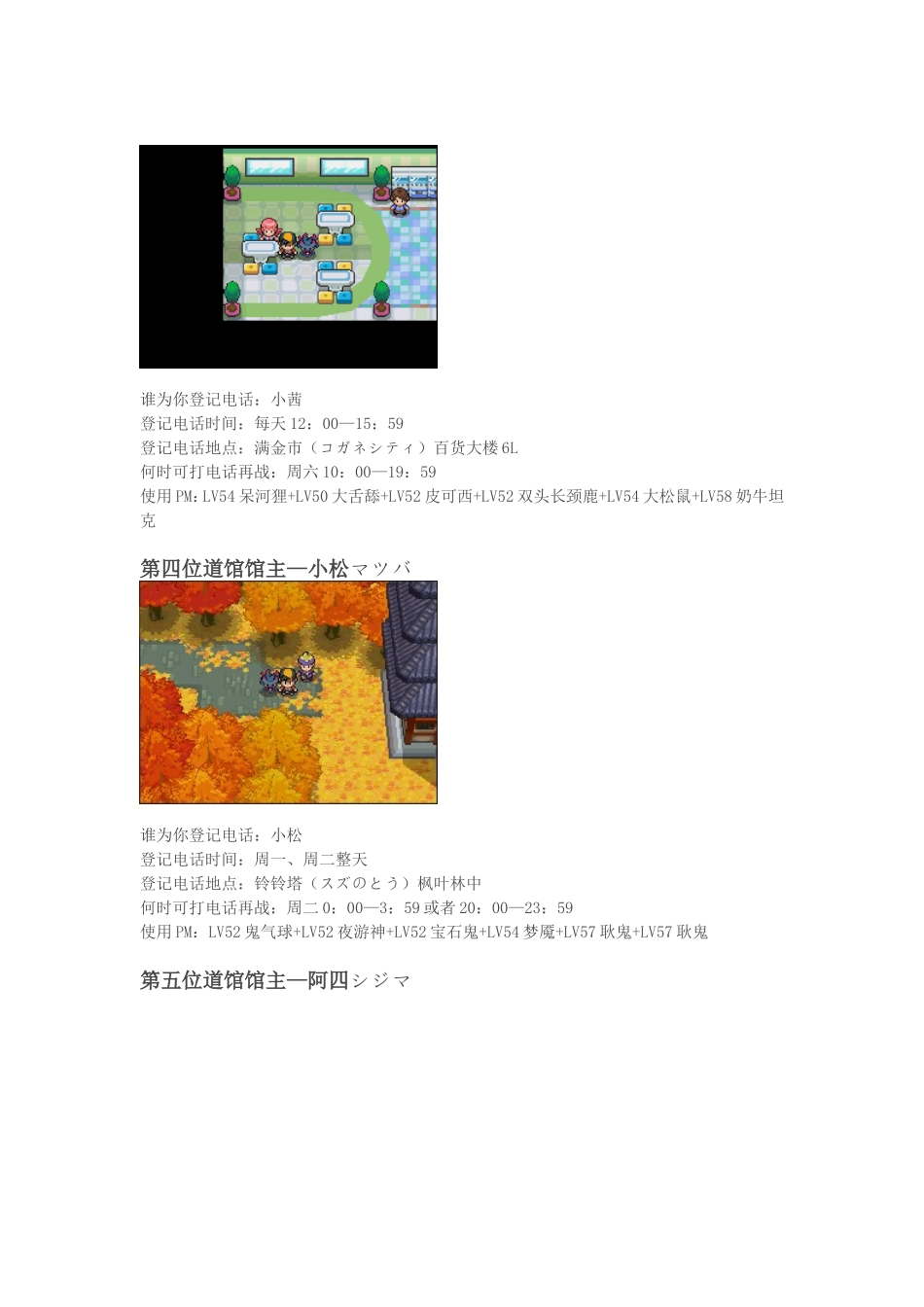 口袋妖怪魂银道馆再战_第3页