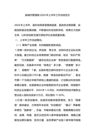 县城市管理局2024年上半年工作总结范文