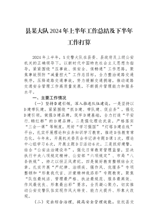 县某大队2024年上半年工作总结及下半年工作打算