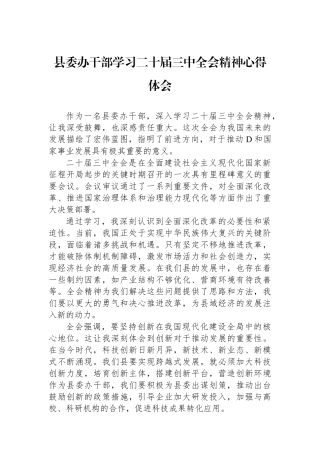 县委办干部学习二十届三中全会精神心得体会