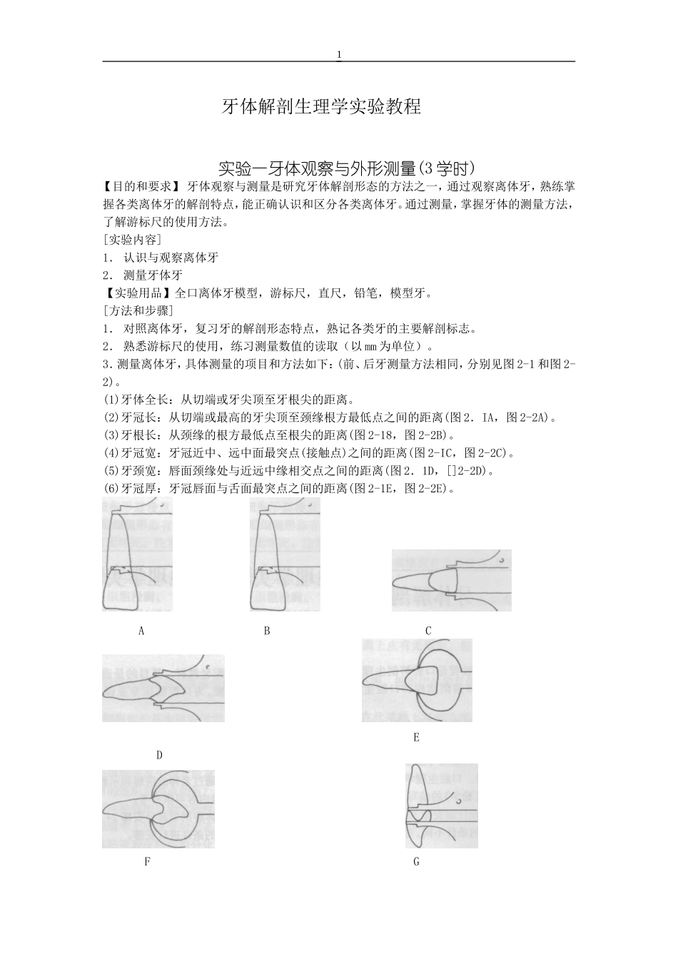 口腔解剖生理学实验指导牙体观察_第1页