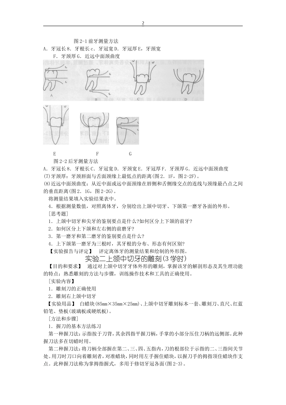 口腔解剖生理学实验指导牙体观察_第2页