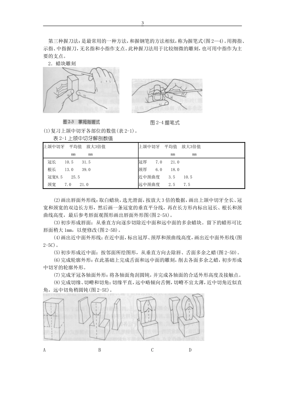 口腔解剖生理学实验指导牙体观察_第3页