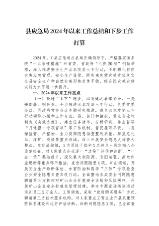 县应急局2024年以来工作总结和下步工作打算