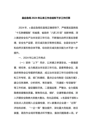 县应急局2024年以来工作总结和下步工作打算计划
