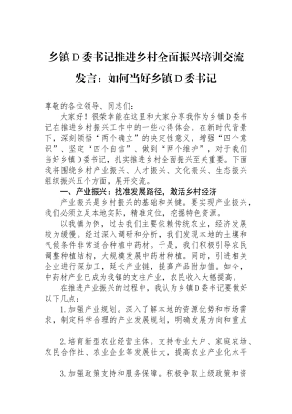 乡镇党委书记推进乡村全面振兴培训交流发言：如何当好乡镇党委书记