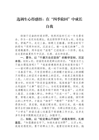选调生心得感悟：在“四季轮回”中成长自我