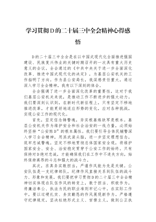 学习贯彻党的二十届三中全会精神心得感悟