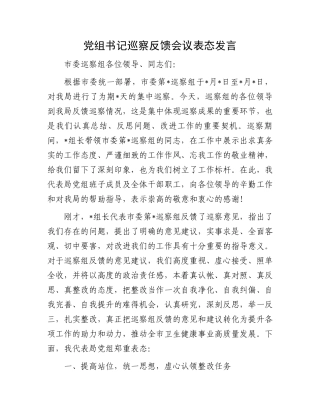 党组书记巡察反馈会议表态发言