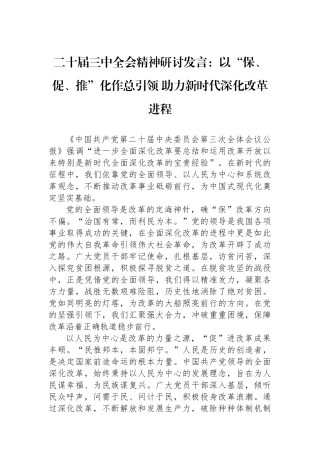 二十届三中全会精神研讨发言：以“保、促、推”化作总引领+助力新时代深化改革进程