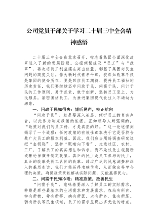 公司党员干部关于学习二十届三中全会精神感悟