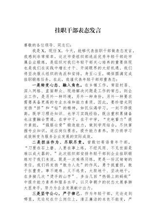 挂职干部表态发言