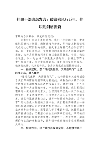 挂职干部表态发言：破浪乘风行万里，挂职砺剑谱新篇