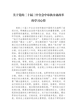 关于党的二十届三中全会中审执分离改革的学习心得