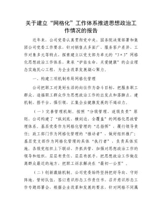 关于建立“网格化”工作体系推进思想政治工作情况的报告