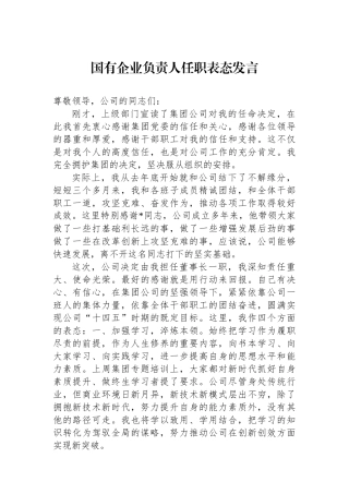 国有企业负责人任职表态发言