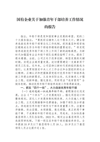 国有企业关于加强青年干部培养工作情况的报告