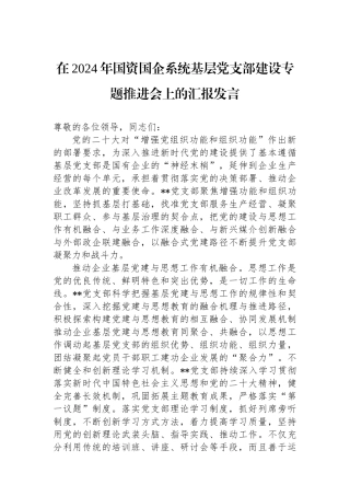 在2024年国资国企系统基层党支部建设专题推进会上的汇报发言