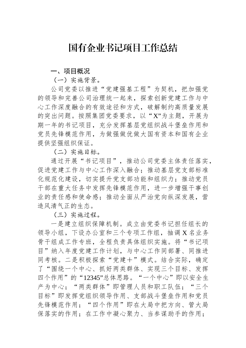 国有企业书记项目工作总结_第1页