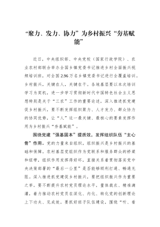 “聚力、发力、协力”为乡村振兴“夯基赋能”