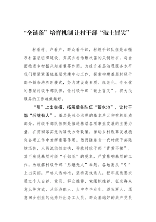“全链条”培育机制 让村干部“破土冒尖”