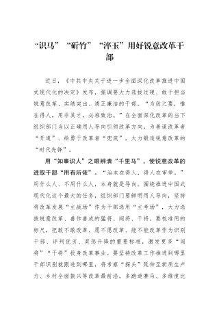 “识马”“斫竹”“淬玉”用好锐意改革干部