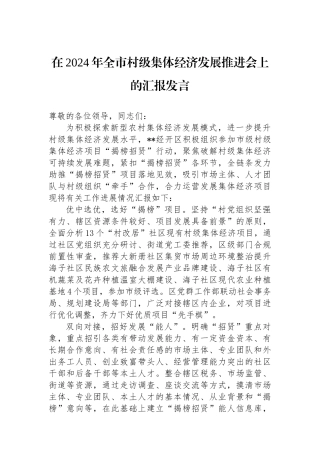 在2024年全市村级集体经济发展推进会上的汇报发言