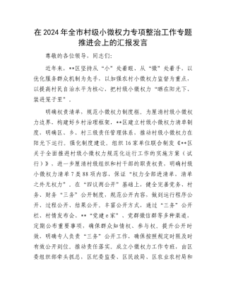 在2024年全市村级小微权力专项整治工作专题推进会上的汇报发言