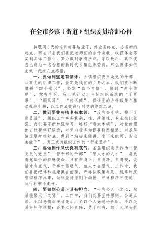 在全市乡镇（街道）组织委员培训心得